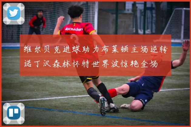 维尔贝克进球助力布莱顿主场逆转诺丁汉森林怀特世界波惊艳全场
